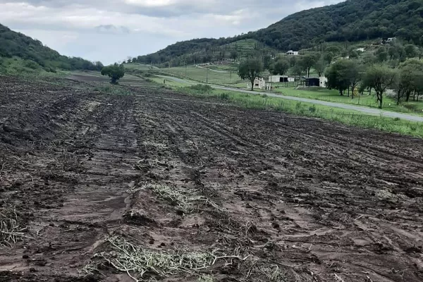 Productores de Tucumán advierten graves pérdidas de cultivos tras el temporal