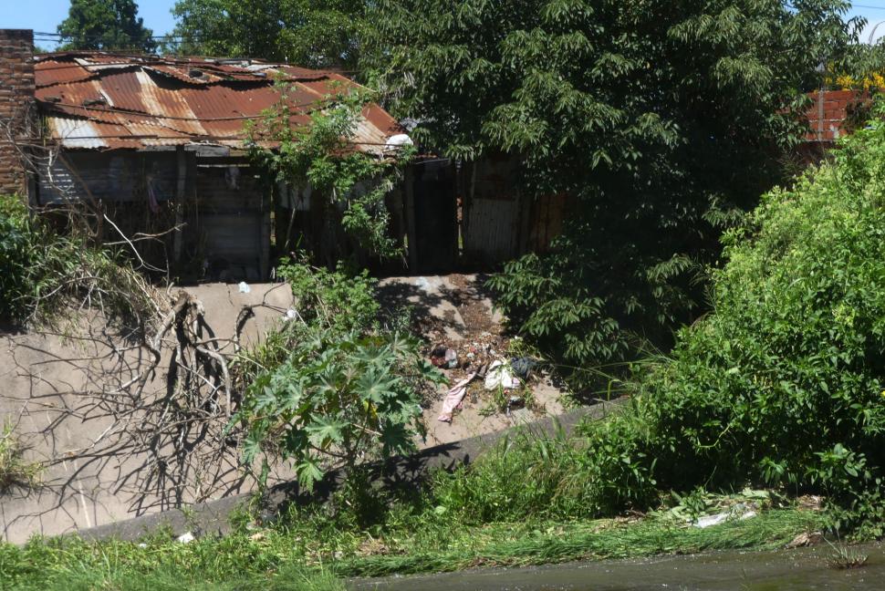 ÁRBOLES CAÍDOS. El viento causó estragos en la maleza de la zona.