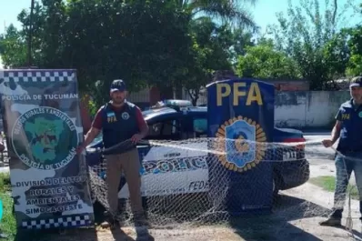 Simoca: incautan tramperas, redes y aves autóctonas