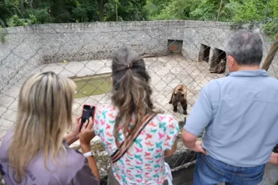 Tras las denuncias por el mal estado de los osos, una comitiva de especialistas del Gobierno recorrió el zoológico de San Pedro