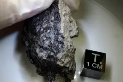 Un misterioso meteorito que cayó en la Tierra podría confirmar que hubo vida en Marte