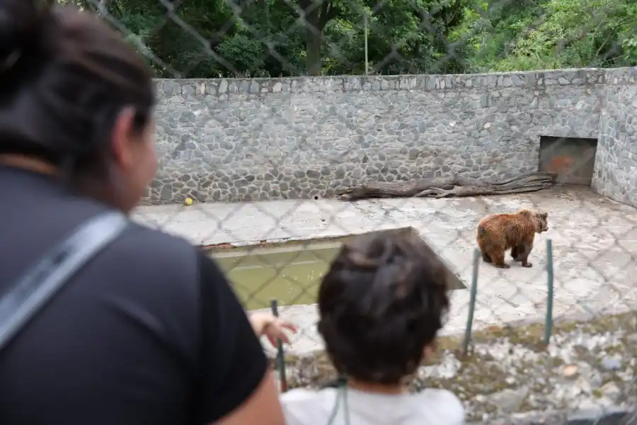Tras las denuncias por el mal estado de los osos, una comitiva de especialistas del Gobierno recorrió el zoológico de San Pedro