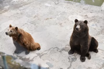 El zoológico de San Pedro responde a quienes piden el cierre del lugar: “No es muy viable”