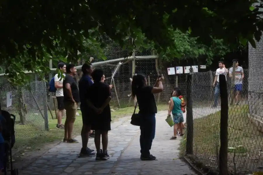 CONCURRIDO. Muchas familias se trasladan para ver los animales. 