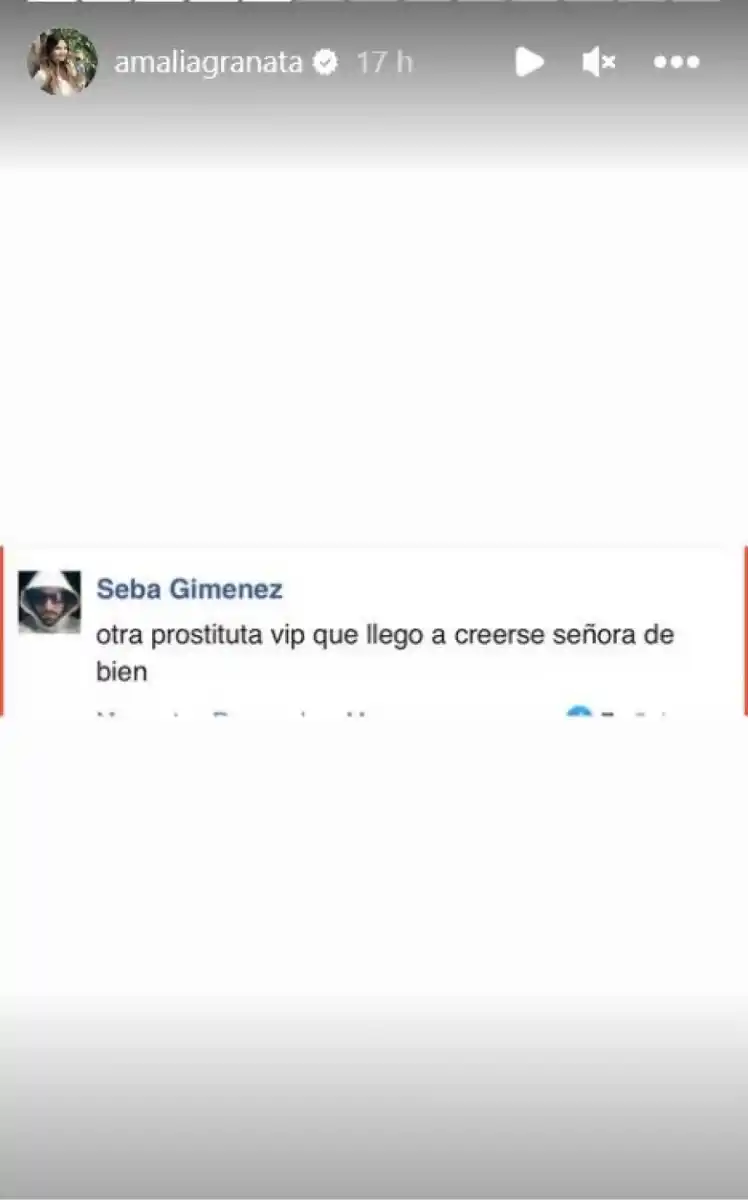 Amalia Granata recibió repudiables comentarios sobre su cuerpo en redes sociales: cuál fue la respuesta de la diputada