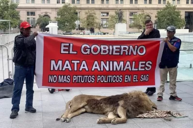Protestan con un león muerto frente al palacio presidencial de Chile