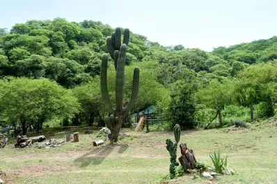 San Pedro de Colalao: Armá tu itinerario para el verano