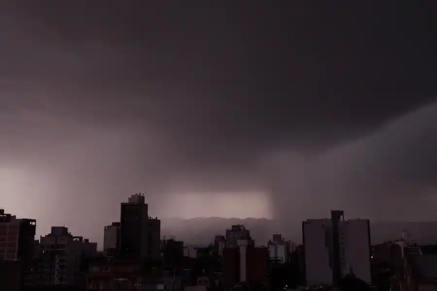 Foto tomada de Twitter @damianmiroli