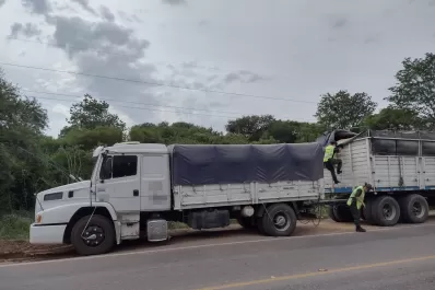 Decomisan 217 toneladas de granos y 97 toneladas de cereales que eran transportados ilegalmente