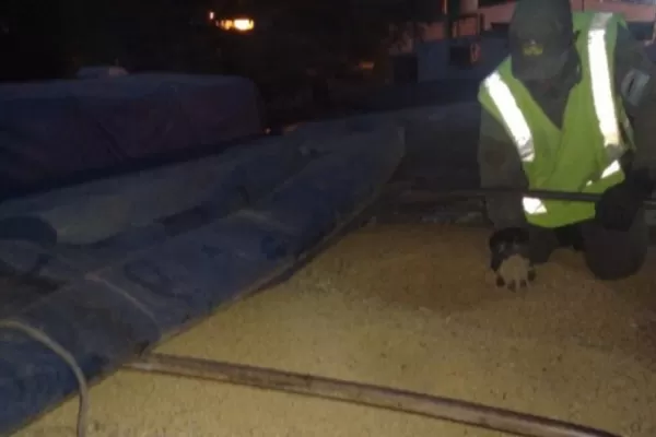 Secuestraron más de 240.000 kilos de soja que eran transportados ilegalmente