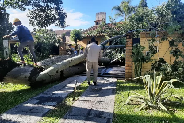 La tormenta llegó con fuertes vientos, pero no hubo evacuados, desbordes ni inundaciones