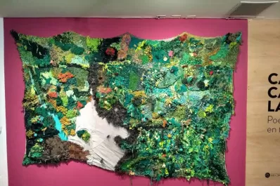 La belleza de las yungas y sus heridas, en una obra premiada por Cultura de la Nación