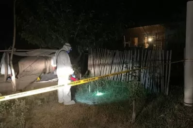 Femicidio en Estación Aráoz: la víctima corrió para salvar su vida, pero fue asesinada de varios hachazos
