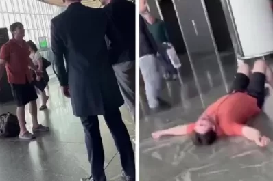 Una aerolínea le perdió sus cuatro perros y el hombre no pudo contener el llanto