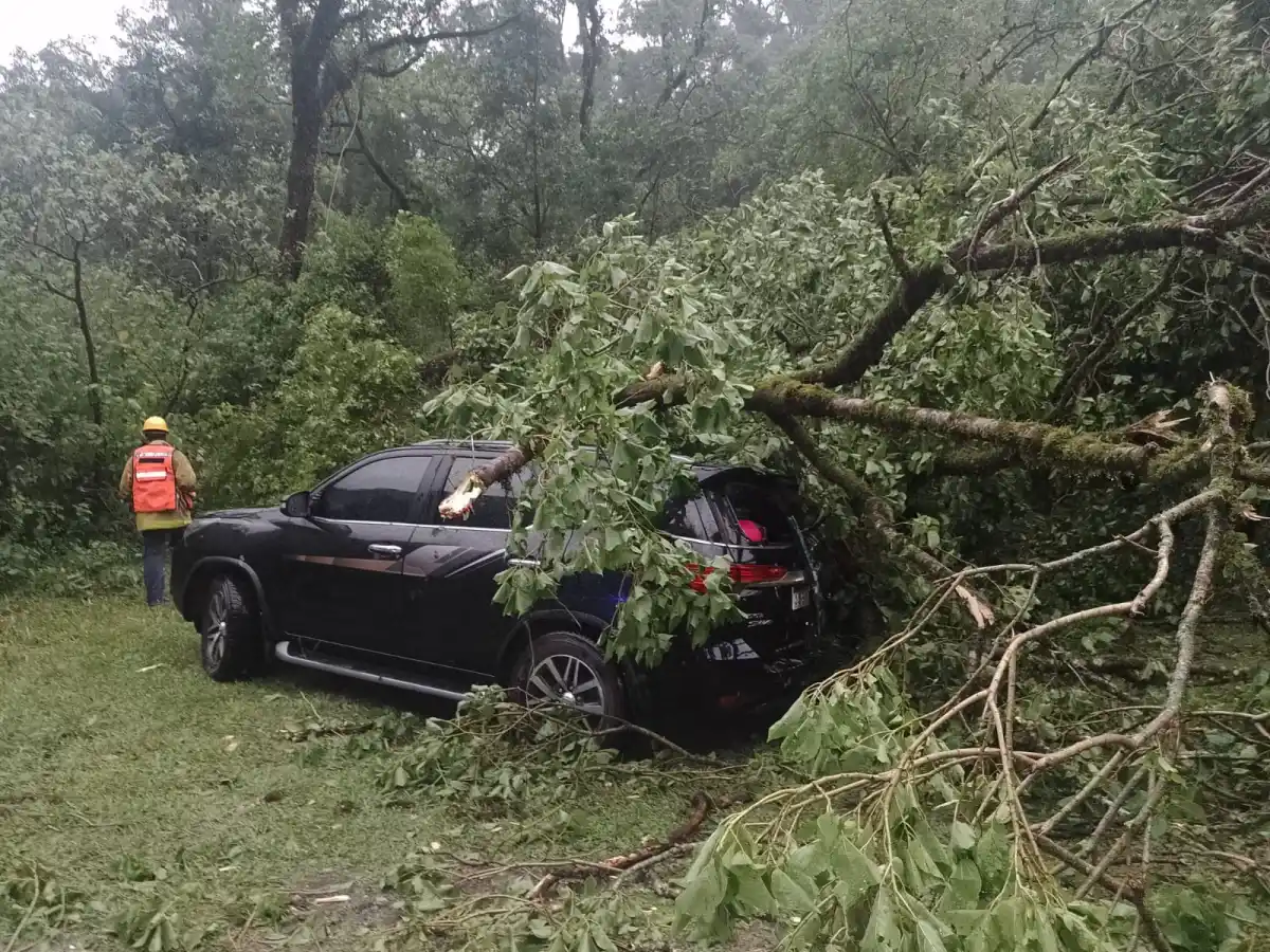 Imágenes y videos: Lo que dejó el fuerte temporal que azotó a Tucumán