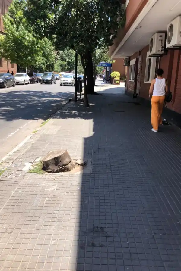 LA GACETA en WhatsApp