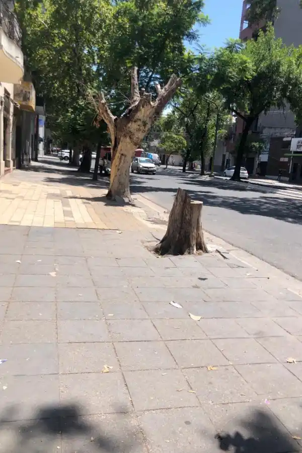 LA GACETA en WhatsApp