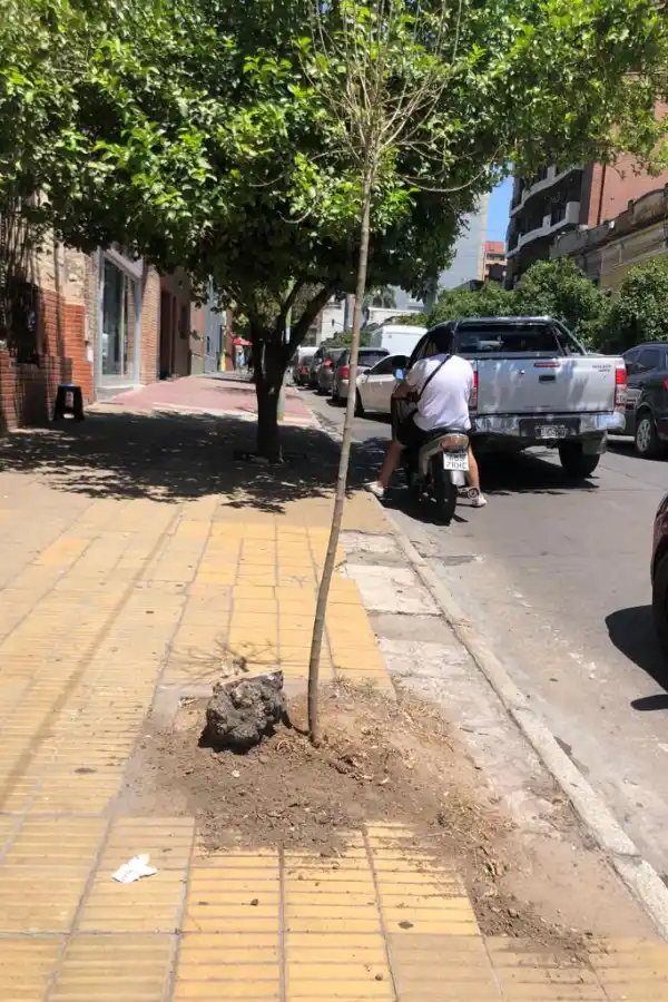 LA GACETA en WhatsApp