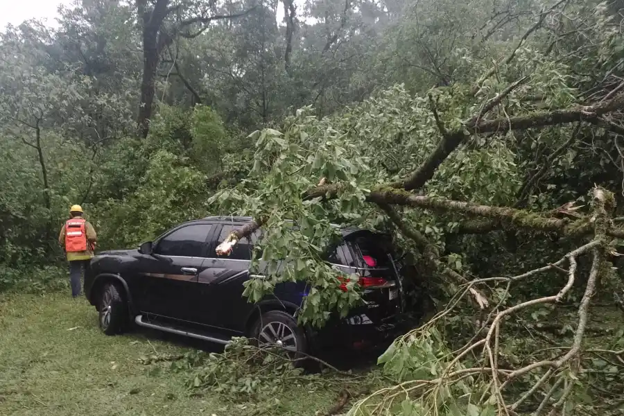 Imágenes y videos: Lo que dejó el fuerte temporal que azotó a Tucumán