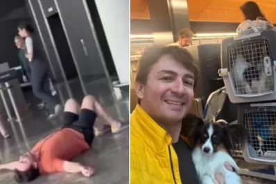 Encontraron a los perros del hombre que rompió en llanto en aeropuerto y su reacción fue viral