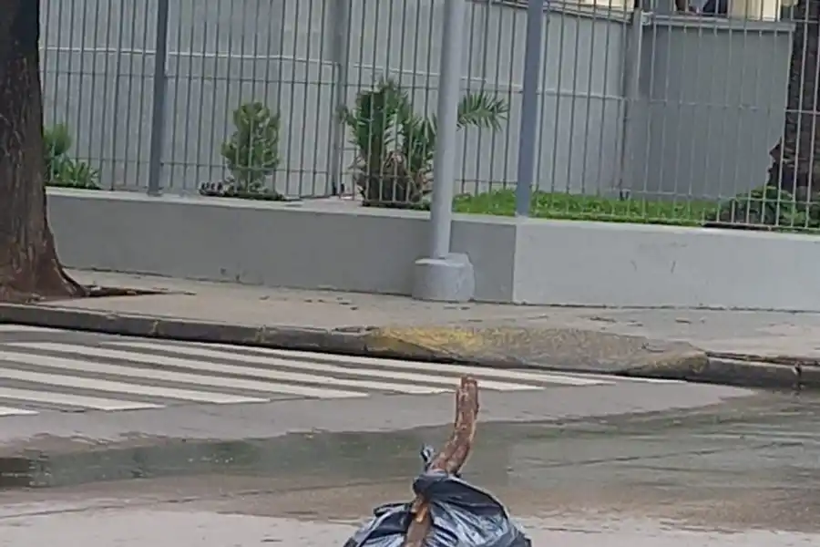 LA GACETA en WhatsApp: una obra sin terminar se traga autos y colectivos en Lastenia