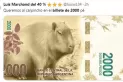 Nuevo billete de $2.000: mirá los mejores memes que llenaron las redes