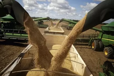 El Estado se queda con el 79% de la renta que genera el agro