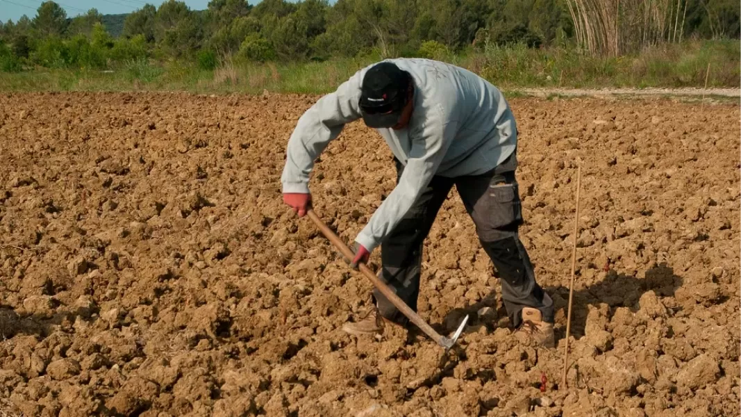 Chile: declararon estado de catástrofe por los incendios