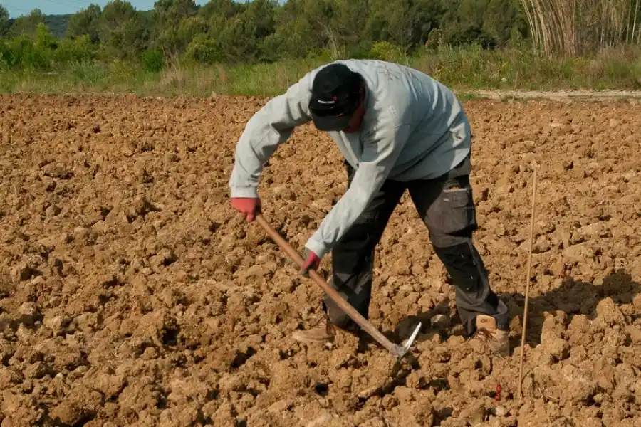 Chile: declararon estado de catástrofe por los incendios