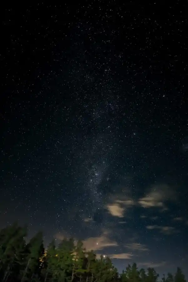 FOTOGRAFÍA NOCTURNA. Tomada por la madrugada en el Pinar de los Ciervos, en el medio se puede apreciar el cinturón de la vía láctea.