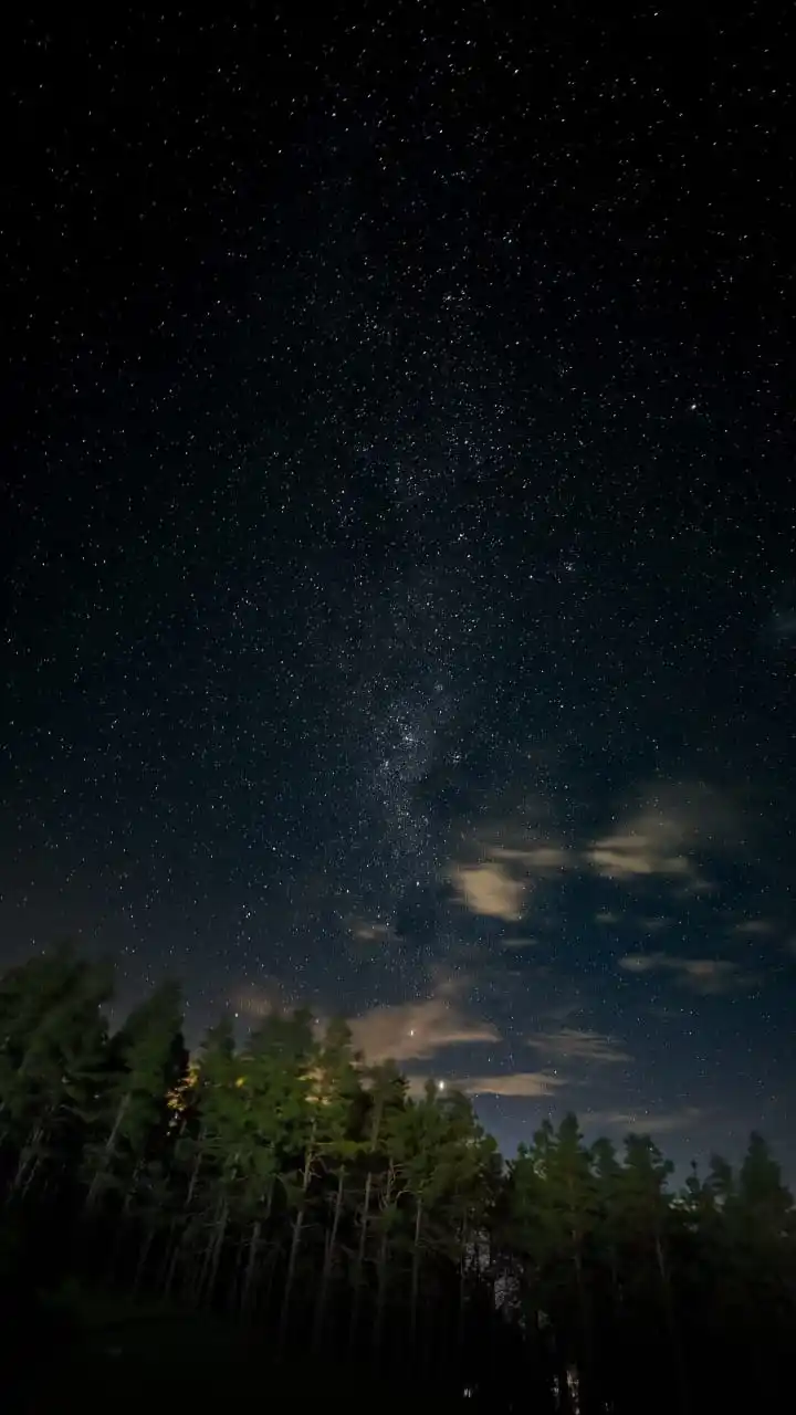 FOTOGRAFÍA NOCTURNA. Tomada por la madrugada en el Pinar de los Ciervos, en el medio se puede apreciar el cinturón de la vía láctea.