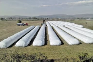 En el Gobierno ya están pensando en el Dólar Soja 3