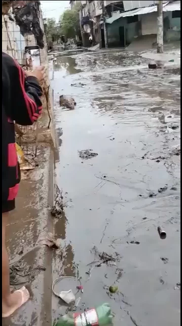 SORPRESA EN LA AVENIDA. Los yacarés andaban a sus anchas en medio del pavimento lleno de agua, como si fuera un río selvático. capturas de video