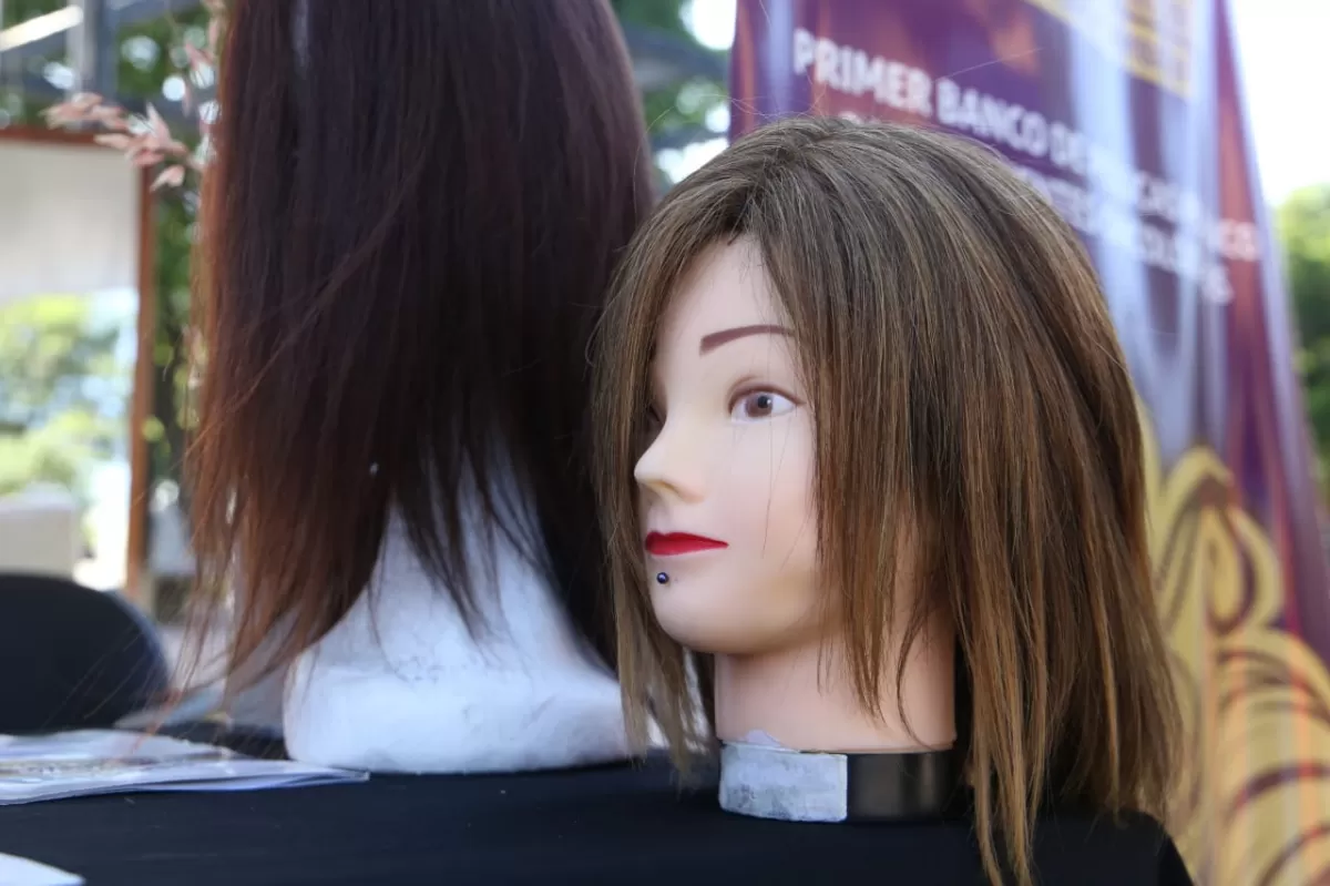 La historia de María, la tucumana que devolvió la peluca que la acompañó en su lucha contra el cáncer