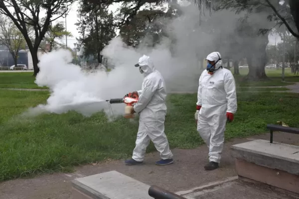 Tras unos aumentos de casos, intensifican los operativos contra el dengue