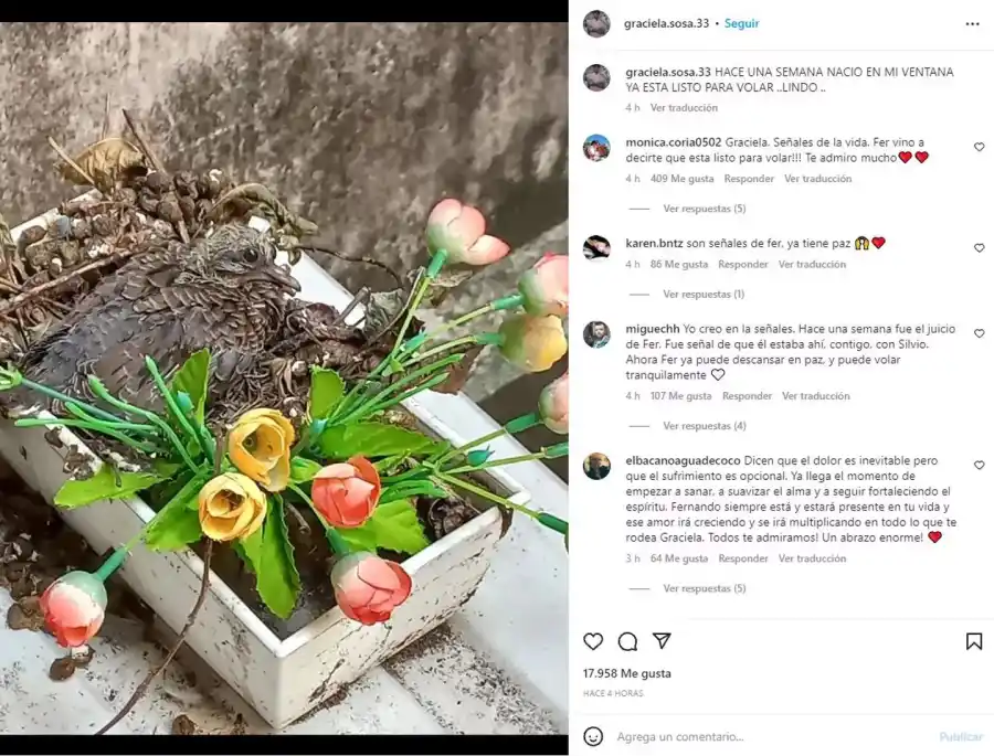 El posteo de la mamá de Fernando Báez Sosa. (Foto: captura Instagram/@graciela.sosa.33)