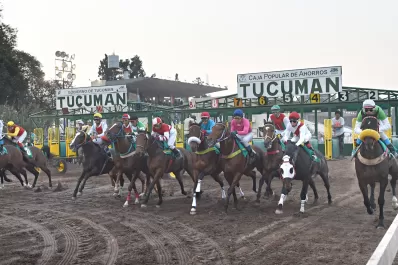 Turf: para una carrera exitosa los “starters” no pueden fallar