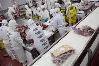 Carnes y producción vegetal en Santiago