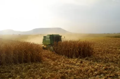 El comercio exterior se regirá con el tipo de cambio mayorista a $350