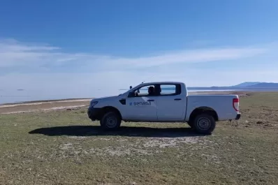 Detectaron un segundo caso de influenza aviar en el país