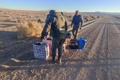 Secuestraron 128 kilos de hojas de coca