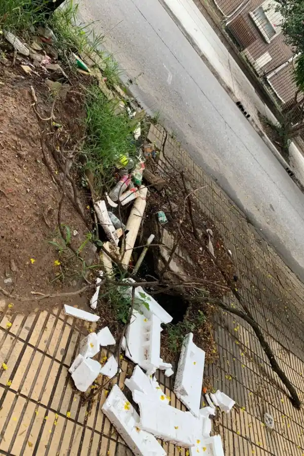 LA GACETA en WhatsApp: “Se están robando las tapas”