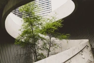 Fundación del Tucumán lanza el Programa de RSE y Sustentabilidad para impulsar a más empresas al cuidado del medioambiente