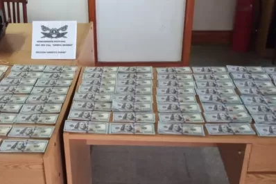 Llevaba U$S 85.000 escondidos en la cabina del camión