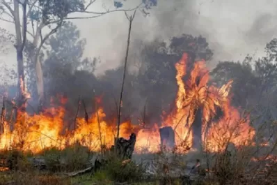 Más de 100 brigadistas combaten un incendio forestal en Chubut