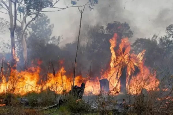 Más de 100 brigadistas combaten un incendio forestal en Chubut