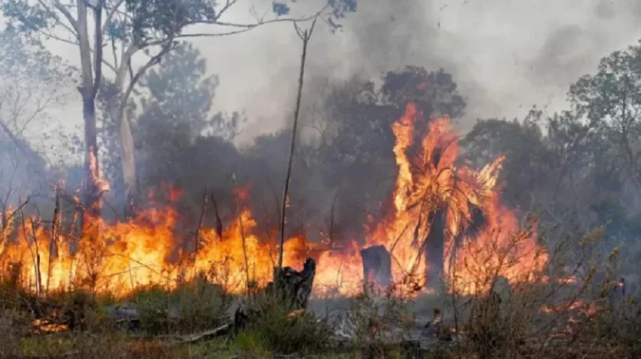 Más de 100 brigadistas combaten un incendio forestal en Chubut