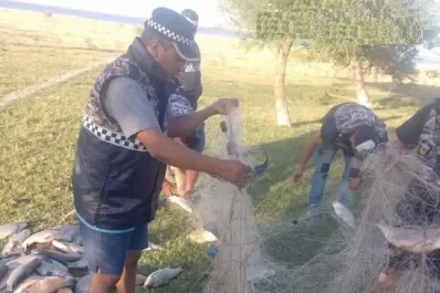 Pesca furtiva: Incautan decenas de peces