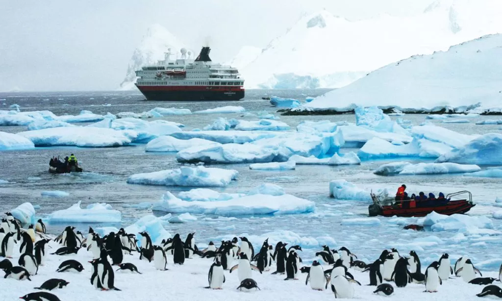 Día de la Antártida Argentina: por qué se conmemora cada 22 de febrero