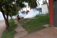 Dengue: los contagios se duplicaron en una semana